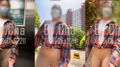 【网红淫奴母狗】查小理户外露出任务 出租车上脱光衣服 全裸给司机看 玩具自慰高潮玩嗨了 小区只穿丝袜露出游荡 (2)